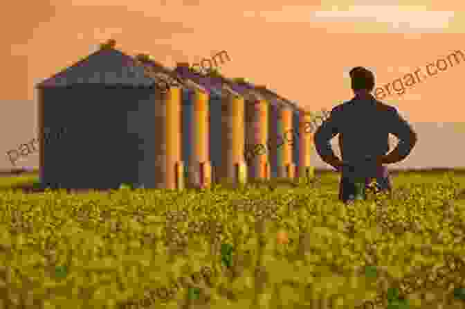 A Farmer Standing In A Field Of Crops Your Successful Farm Business: Production Profit Pleasure