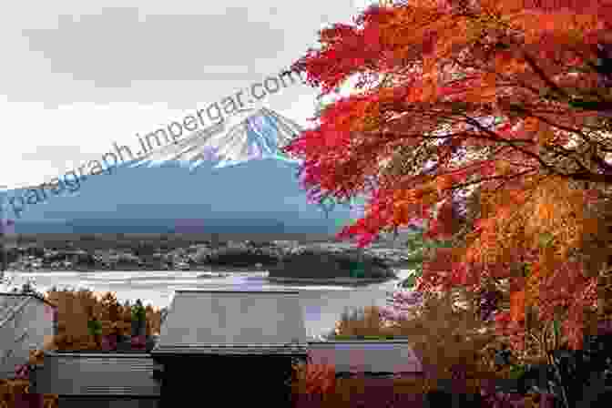 A Flock Of Cranes Flies Over Mt Fuji In Autumn, Their Wings Forming A Graceful Silhouette Against The Backdrop Of The Colorful Foliage. Wild Bird Scenery At Mt Fuji And It S Foothills