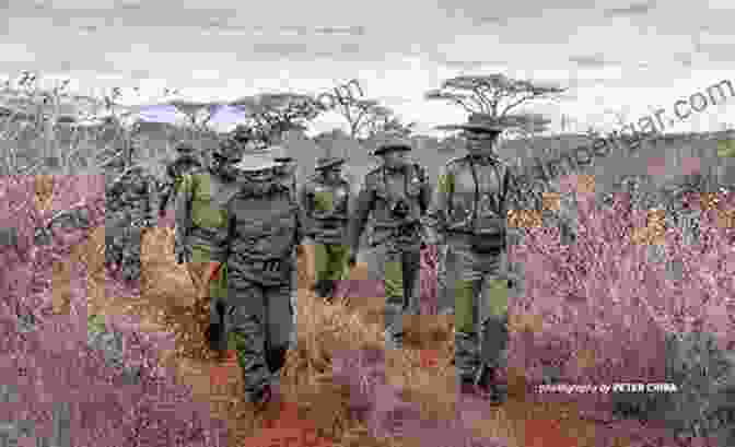 A Group Of Armed Wildlife Rangers On Patrol In A Dense Forest. Operation Lock And The War On Rhino Poaching