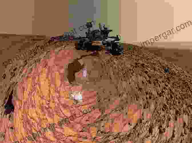 A Photo Of The Curiosity Rover On Mars Beginner S Guide To The Colonization Of Mars