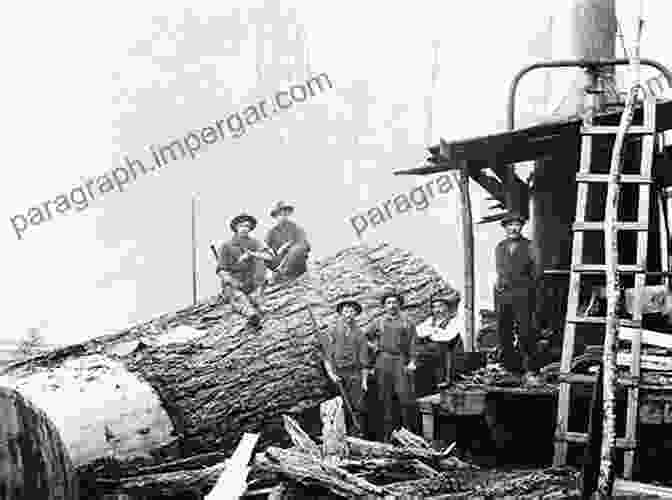 A Photograph Of A Weyerhaeuser Logging Operation In The Pacific Northwest, Showing Felled Trees And Heavy Machinery Making Salmon: An Environmental History Of The Northwest Fisheries Crisis (Weyerhaeuser Environmental Books)