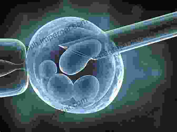 A Scientist Using A Microscope To Perform Preimplantation Genetic Diagnosis (PGD). Birth Rights And Wrongs: How Medicine And Technology Are Remaking Reproduction And The Law