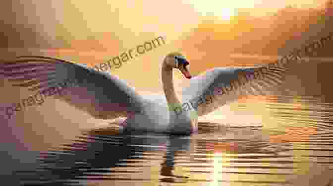 A Stunning Photograph Of A Swan Gliding Across A Serene Lake, Captured In Haikus And Photos: Water Birds And Reflections