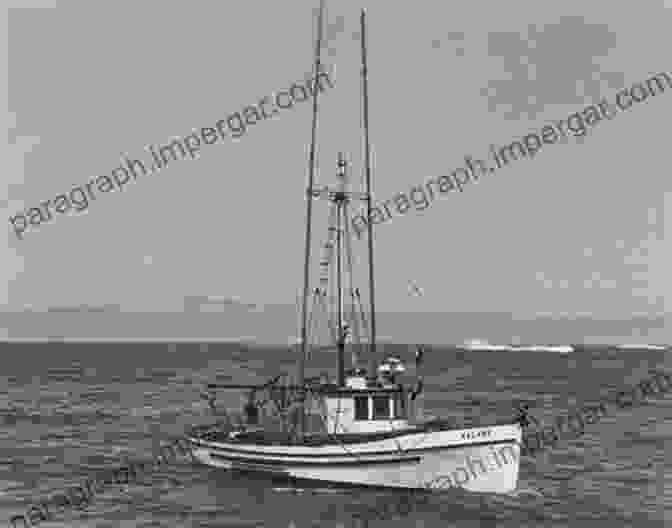 A Vintage Photograph Showing A Large Scale Commercial Fishing Operation In The Pacific Northwest, With Boats Crowding The Waters Making Salmon: An Environmental History Of The Northwest Fisheries Crisis (Weyerhaeuser Environmental Books)