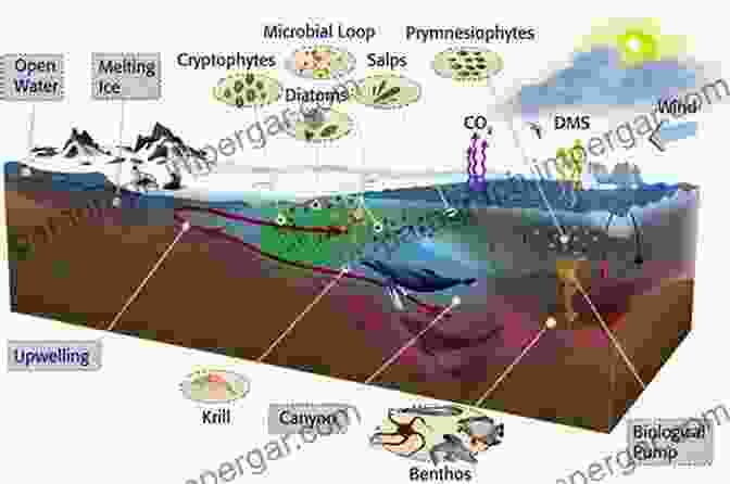 Aquatic Ecosystems, Hidden Realms Beneath The Water's Surface, Supporting Diverse Marine And Freshwater Communities. The Ecozones Of The World: The Ecological Divisions Of The Geosphere