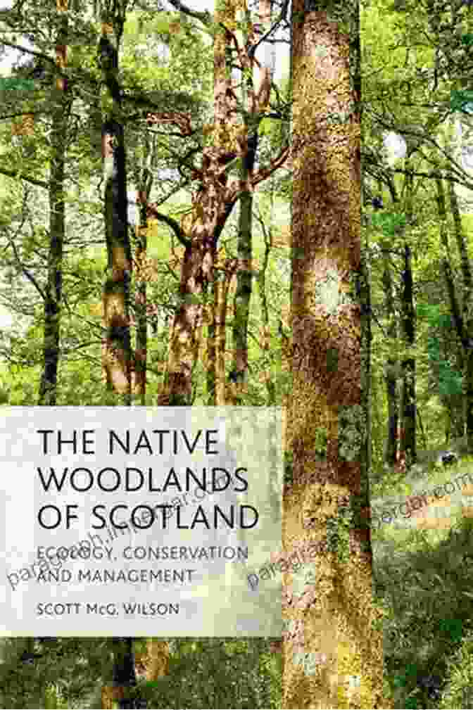 Book Cover Of 'Native Woodlands Of Scotland' By Jo Anne MacArthur Native Woodlands Of Scotland Jo Anne McArthur