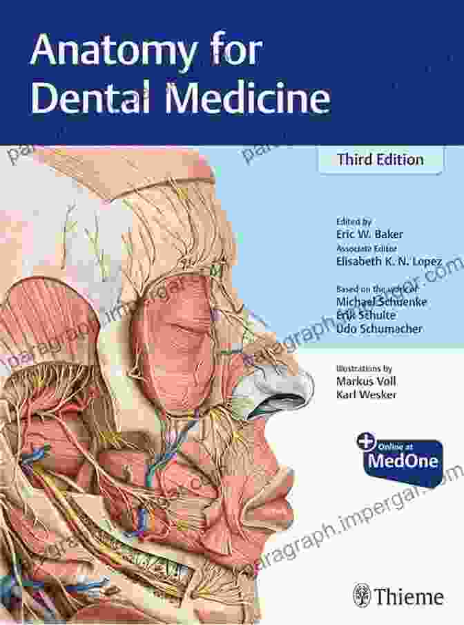 Cover Of The Book 'Anatomy For Dental Medicine In Your Pocket' Anatomy For Dental Medicine In Your Pocket