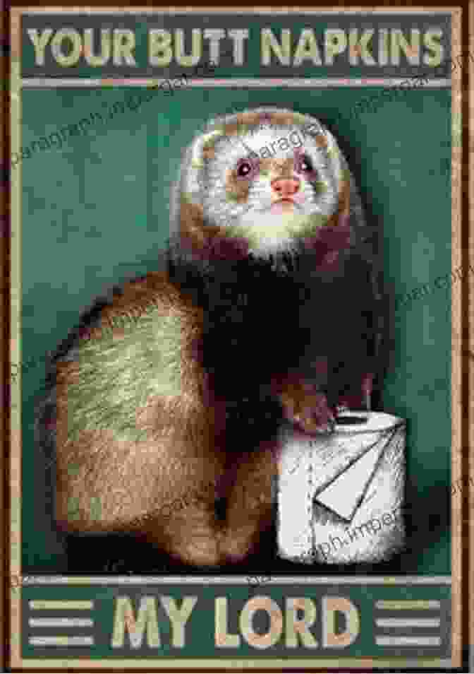 Ferret Ideas Book Cover A Ferret S Ideas Jerry Depew