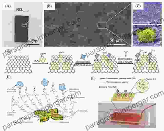 Graphene Oxide Based Nanomaterials Under A Microscope Applications Of Graphene And Graphene Oxide Based Nanomaterials (Micro And Nano Technologies)