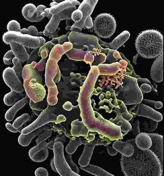 Heap Of Fermenting Compost Teeming With Microorganisms, Including Fungi The Allure Of Fungi Jeffrey H Simpson