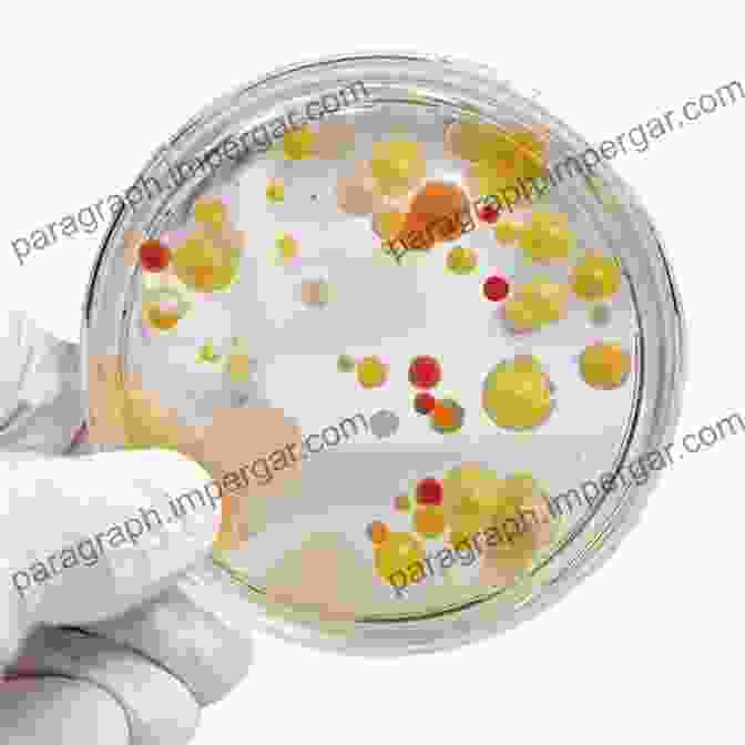 Microbes On A Petri Dish For Food Safety Analysis Advances In Applied Microbiology (ISSN)