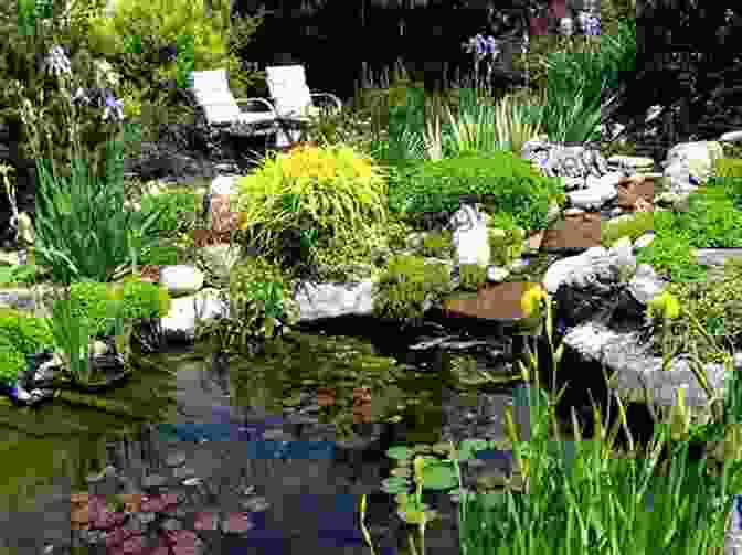 Naturalistic Pond Design Featuring Rocks, Native Plants, And A Shallow Edge For Marginal Vegetation. Fabulous Garden Pond Ideas In 2024: How To Create A Garden Pond