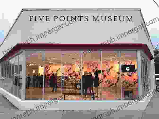 The Five Points Museum Two Boxed Set: New York City S Five Points The Most Dangerous And Decadent Neighborhood Ever Famous Murders Riots Disasters And Crooked Politicians