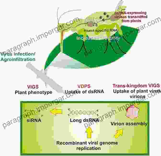 Viral Vaccines Natural And Engineered Resistance To Plant Viruses: Part II (Advances In Virus Research 76)