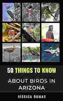 50 Things To Know About Birds In Arizona : Birding In The Grand Canyon State (50 Things To Know About Birds United States)