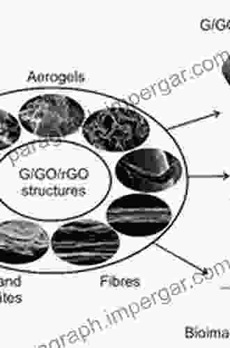 Applications of Graphene and Graphene Oxide based Nanomaterials (Micro and Nano Technologies)