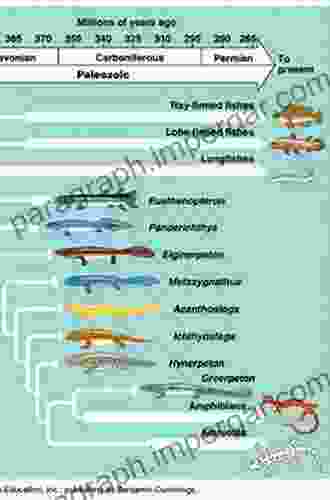 Feeding: Form Function And Evolution In Tetrapod Vertebrates