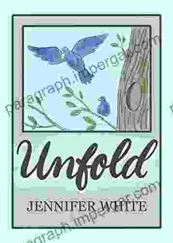 Unfold: Faith Full Healing After Adultery And Divorce