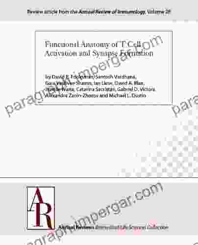 Functional Anatomy Of T Cell Activation And Synapse Formation (Annual Review Of Immunology 28)