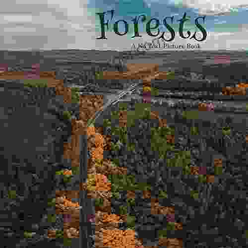 Forests A No Text Picture Book: A Calming Gift For Alzheimer Patients And Senior Citizens Living With Dementia (Soothing Picture For The Heart And Soul 81)