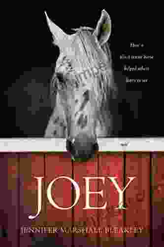 Joey: How A Blind Rescue Horse Helped Others Learn To See