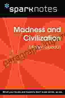 Madness And Civilization (SparkNotes Philosophy Guide)