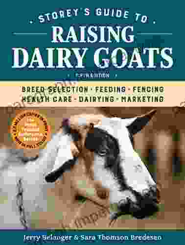 Storey s Guide to Raising Dairy Goats 5th Edition: Breed Selection Feeding Fencing Health Care Dairying Marketing (Storey s Guide to Raising)