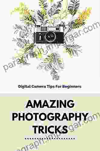 Amazing Photography Tricks: Digital Camera Tips For Beginners: Photo Taking Tips The Digital Camera