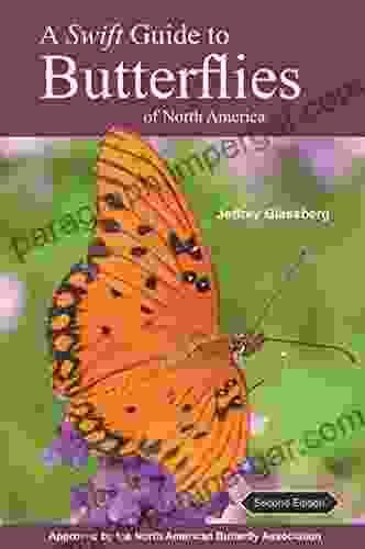 A Swift Guide to Butterflies of North America: Second Edition