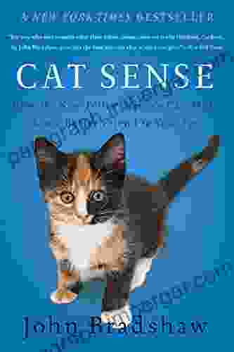 Cat Sense: How The New Feline Science Can Make You A Better Friend To Your Pet