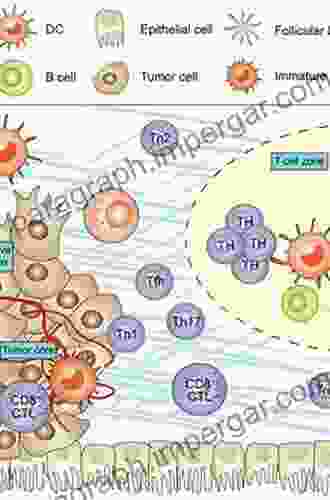 The Lymphatic System In Colorectal Cancer: Basic Concepts Pathology Imaging And Treatment Perspectives