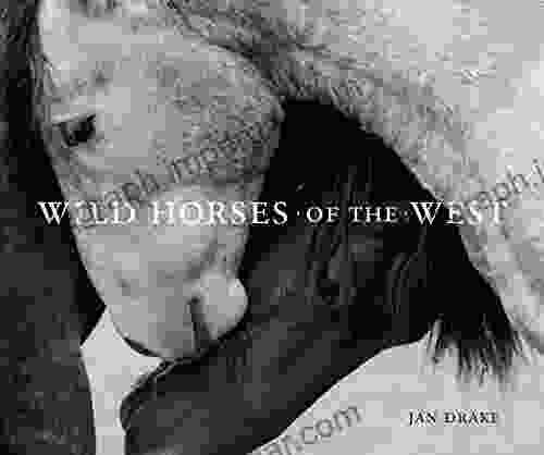 Wild Horses Of The West